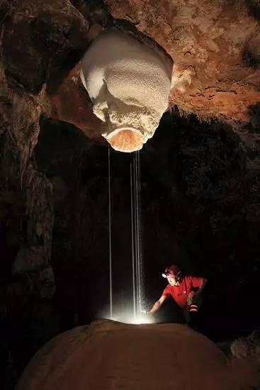 法媒：勒沃库森报价法乙卡昂17岁前锋戈米斯，对方要1200万