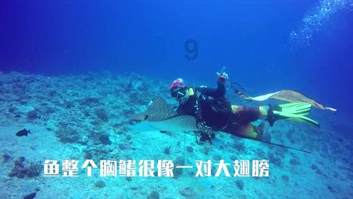 结婚是该跟你爱的人还是合适的人？游戏画面