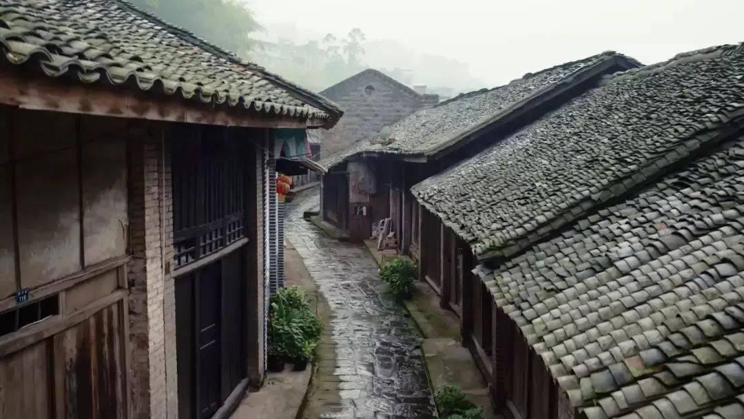 呆萌动物园